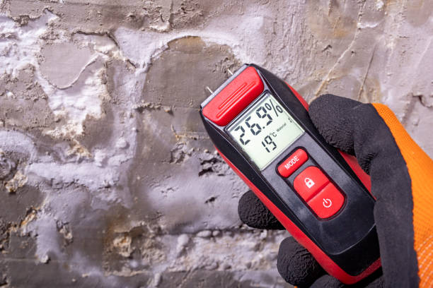 Attic Mold Removal in Monmouth Junction, NJ