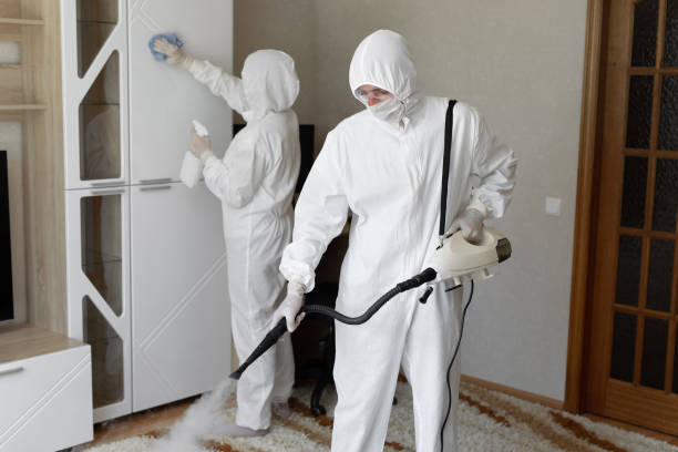 Best Professional Mold Removal  in Monmouth Junction, NJ
